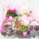 bicycle-2416321