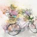 bicycle-2416366