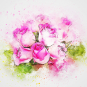 flowers-2405610