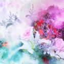 flowers-2611474