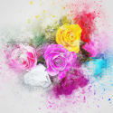 flowers-2737269
