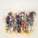 horse-2284032