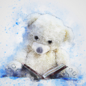 teddy-2649131